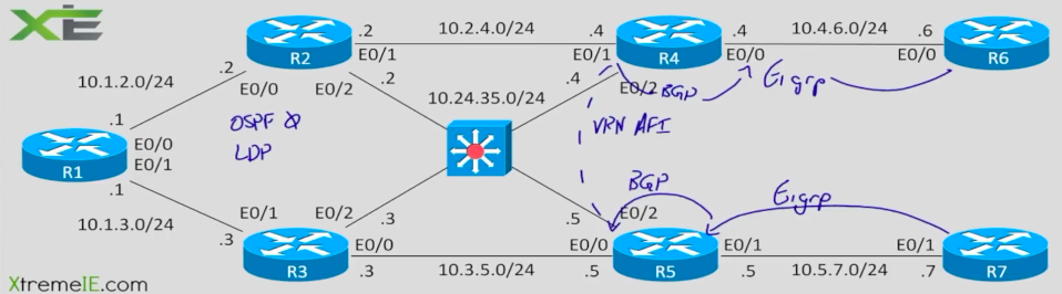 detailed mpls vpn